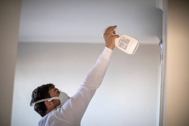 Best Home Mold Removal  in Eureka, MO