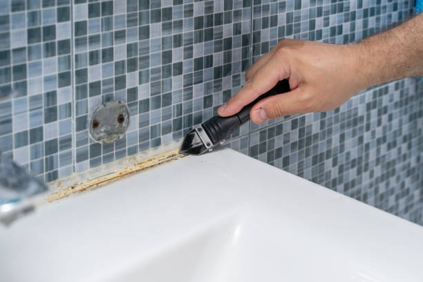 Reliable Eureka, MO Mold Removal Solutions